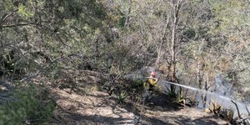 Gobierno y Fuerzas Federales Logran Controlar Incendio en el Cañón del Novillo