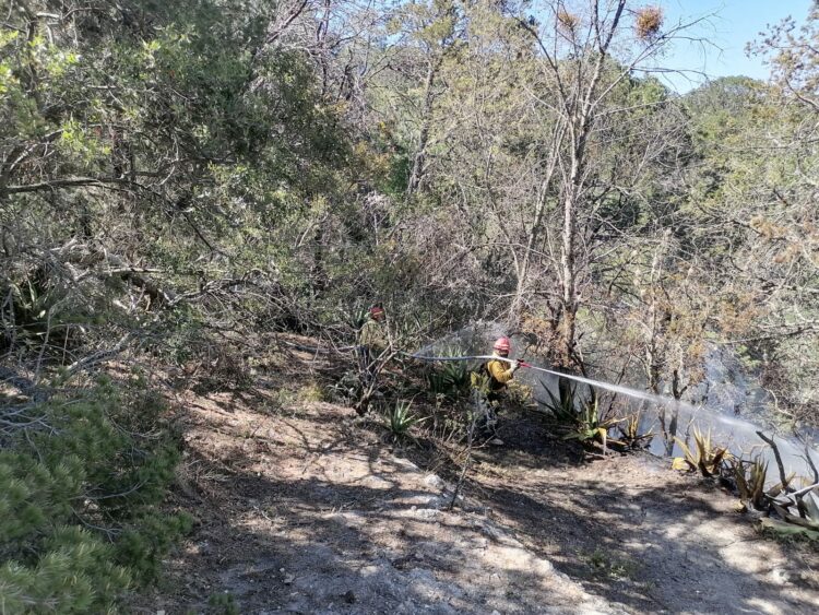 Gobierno y Fuerzas Federales Logran Controlar Incendio en el Cañón del Novillo