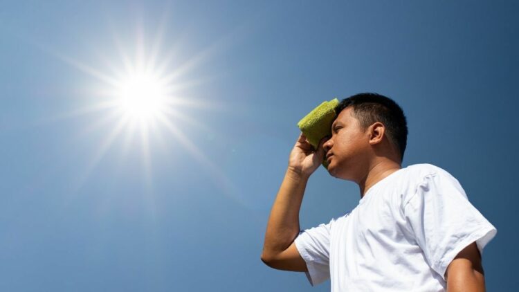 14-personas-fallecen-por-altas-temperaturas-en-Tamaulipas.