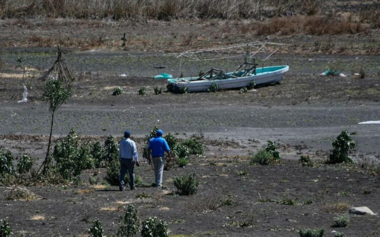 22 empresas están detenidas en Altamira