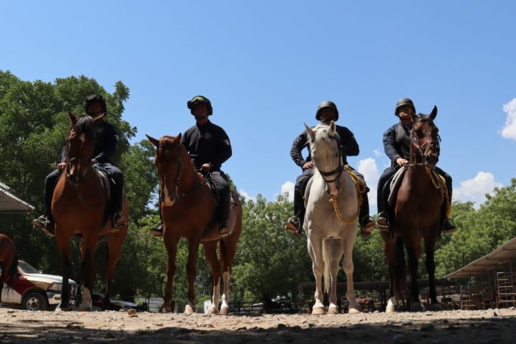 Agrupamiento montado de la Guardia Estatal mantiene proximidad permanente