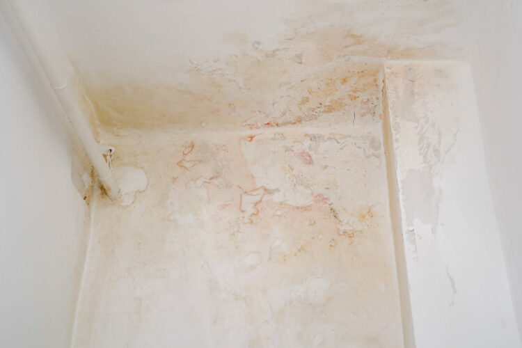 ¿Qué hacer si tu casa de Infonavit se moja?