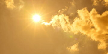 muertos por el calor extremo