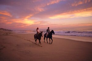 Paseo a caballo Cabos de San Lucas