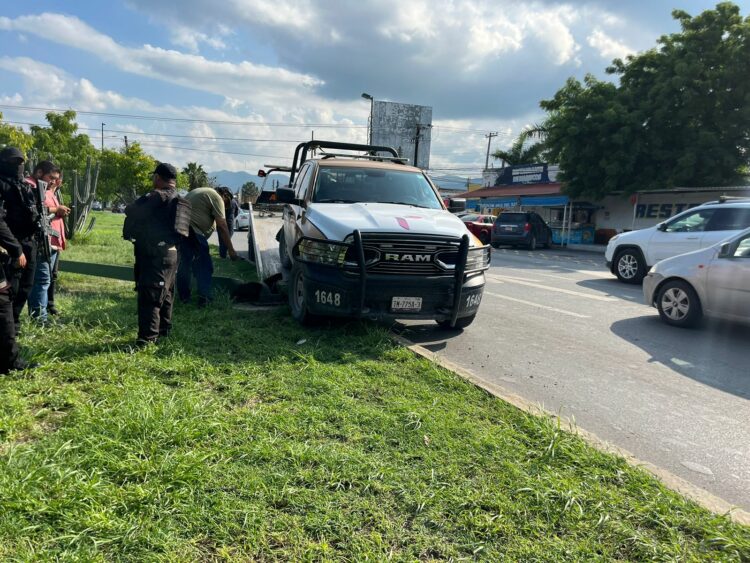 Se estrella patrulla de Guardia Estatal con luminaria en Blvd. Fidel Velazquez