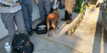 «Operativo de Mochila» sorprende a estudiantes del ITACE