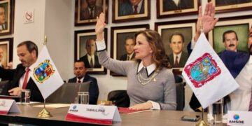 Asume Ninfa Cantú Deándar coordinación de la Región Noreste de AMSDE