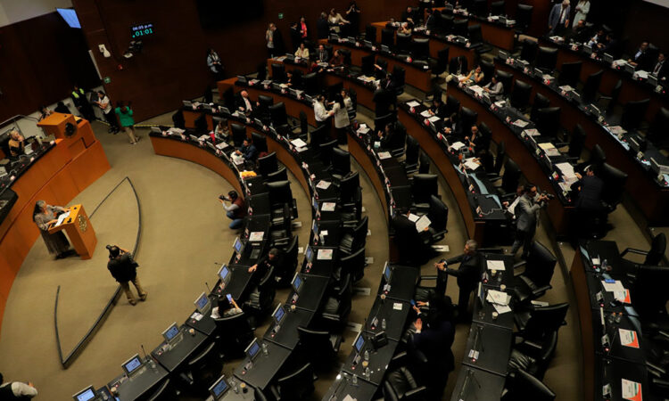 Avanza en Senado reforma contra maltrato animal