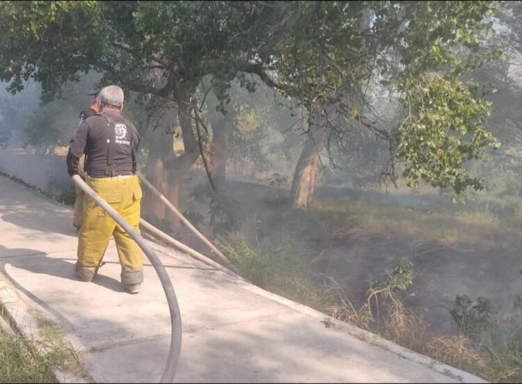 Sofocan incendio en el Río San Marcos