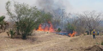 Activan protocolos para cesar los incendios en la zona sur del Estado