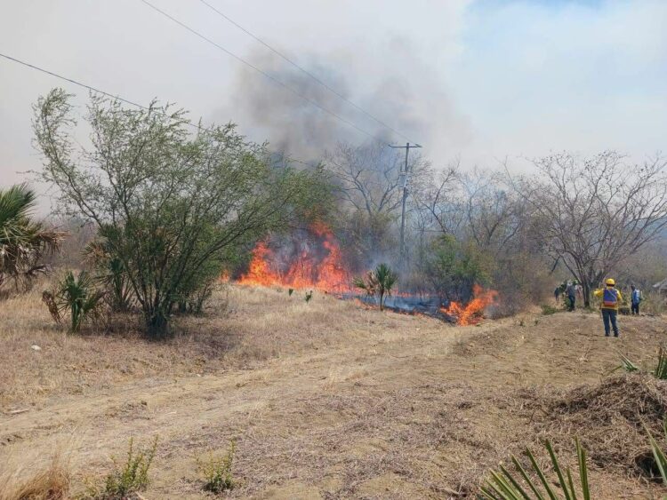Activan protocolos para cesar los incendios en la zona sur del Estado