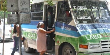 Transporte público en Victoria: concesionarios descartan camiones con aire acondicionado