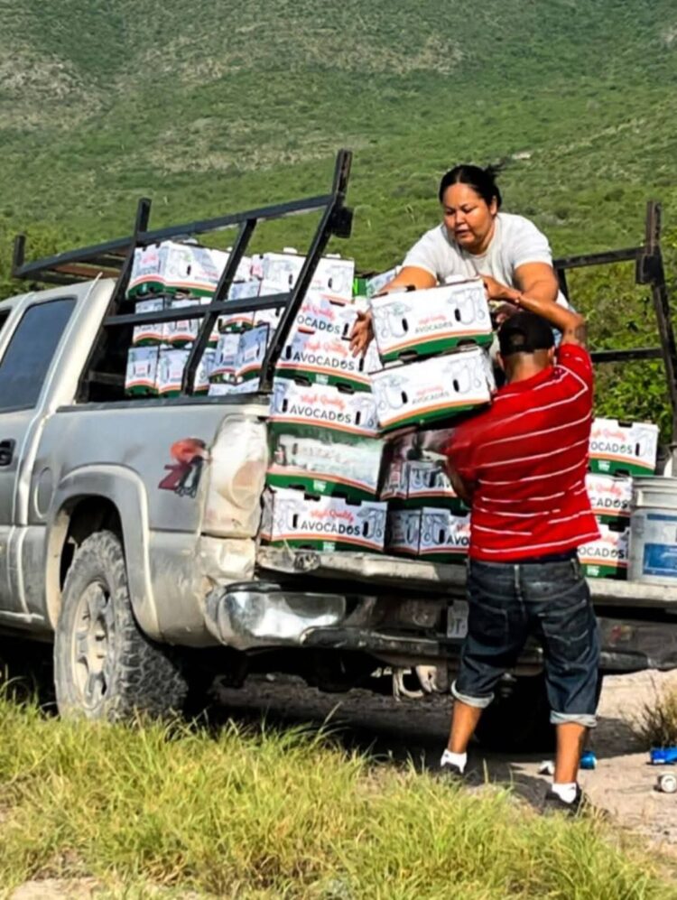 Rapiña  de aguacates tras choque de tráileres en Tamaulipas en carretera Jaumave – Palmillas
