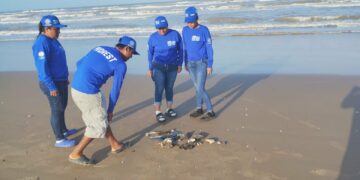 Basura espacial de SpaceX Amenaza vida marina en Tamaulipas