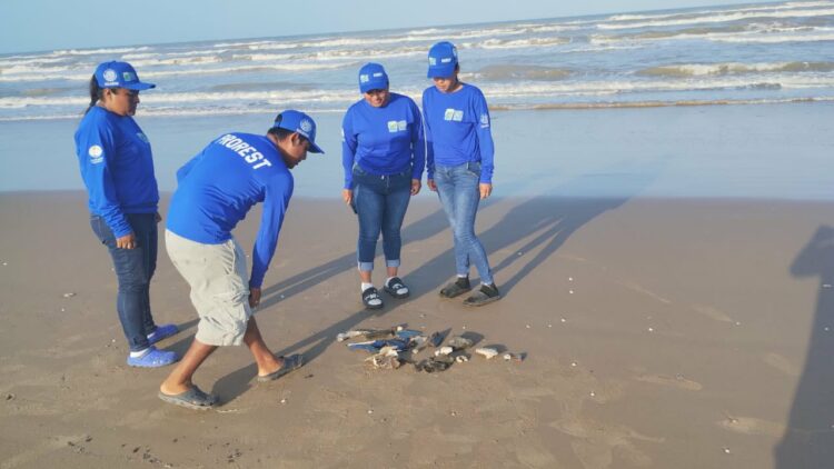 Basura espacial de SpaceX Amenaza vida marina en Tamaulipas