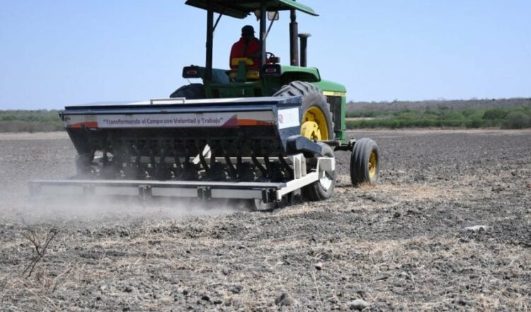 Impulso al campo con semilla y tecnología en el altiplano