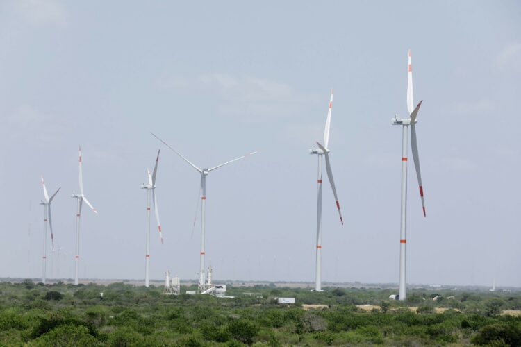 Tamaulipas lidera en energía eólica con 1,722 megawatts instalados