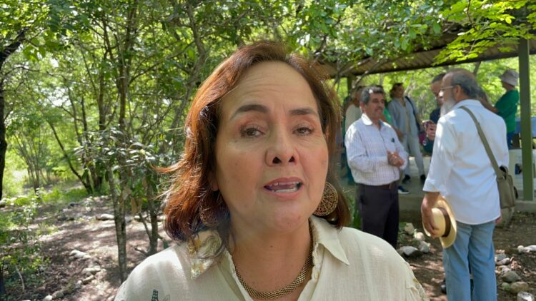 Diputada llama a vigilar escuelas para evitar robos en vacaciones