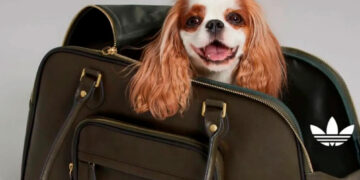 Adidas Originals lanza su primera colección para mascotas en 2025