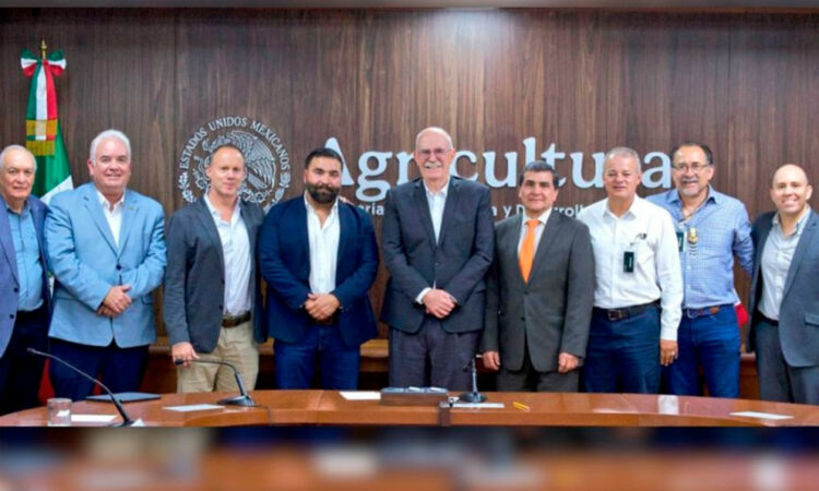 Plan de acción para contrarrestar el arancel del 17.09% al tomate mexicano en EUA