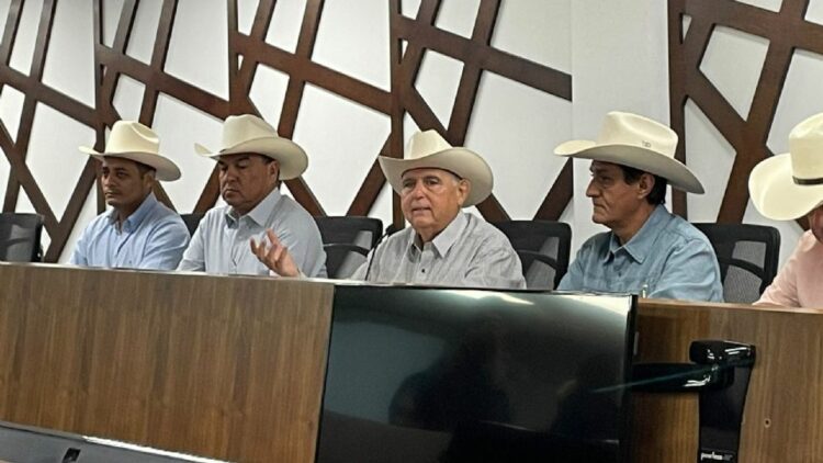 Exportaciones de ganado caen 80 % por cierre en EE. UU.