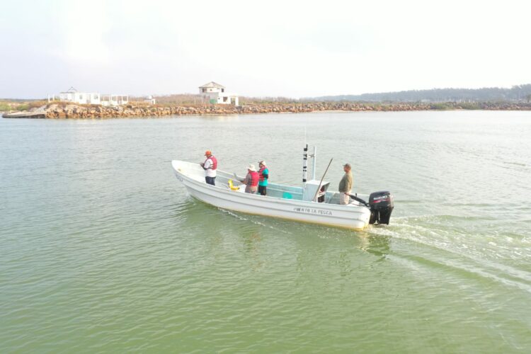 Tamaulipas inicia pesca de robalo sin restricciones este julio