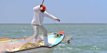 Cae producción pesquera en Tamaulipas durante 2024