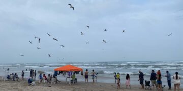 Playas de Tamaulipas no enfrentan saturación turística