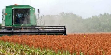 Sequía triplica daños al campo en Tamaulipas