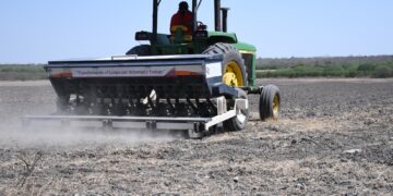 Tribunal Agrario de Tamaulipas entre los menos productivos del país: INEGI