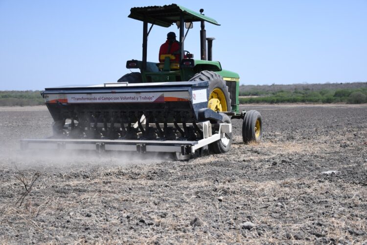 Tribunal Agrario de Tamaulipas entre los menos productivos del país: INEGI