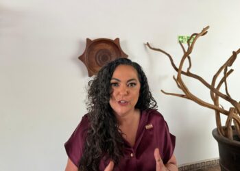 Sí hay fuego amigo en Morena, reconoce Olga Sosa.