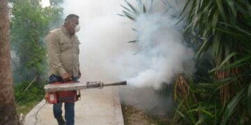 Tamaulipas rebasa los 300 casos de dengue en 2025; alertan por temporada de lluvias