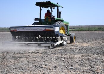 Insuficientes las 34 Escuelas de Campo para 1,300 ejidos de  Tamaulipas