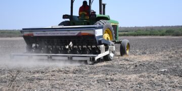 Insuficientes las 34 Escuelas de Campo para 1,300 ejidos de  Tamaulipas