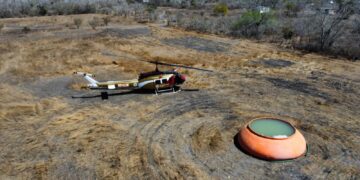Incendio forestal afecta área de la mariposa monarca en Tamaulipas