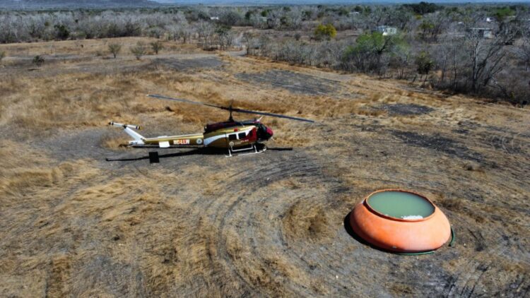 Incendio forestal afecta área de la mariposa monarca en Tamaulipas