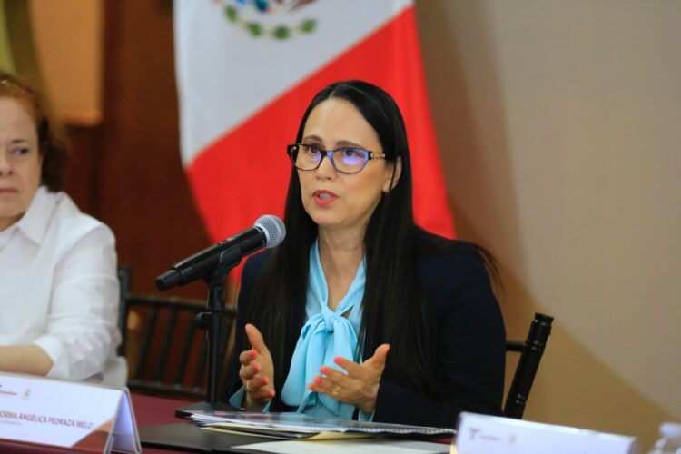 A 45 días de su creación, nuevo Instituto de Transparencia sigue sin operar