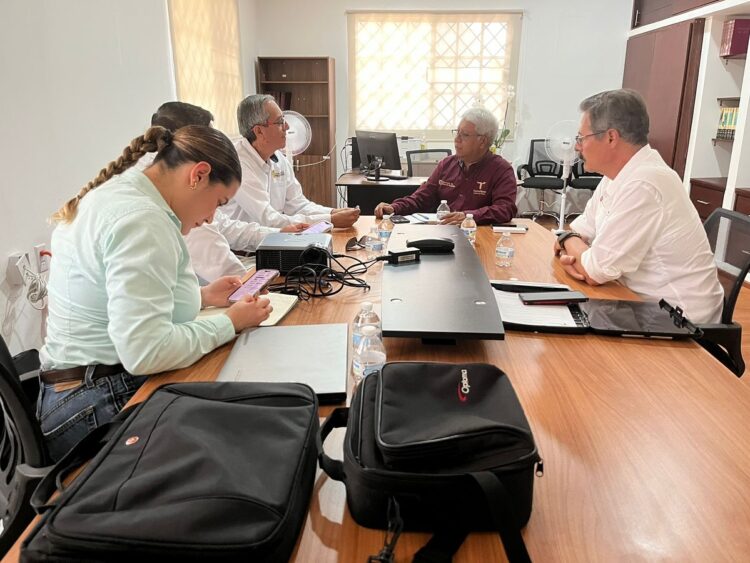 Más de 2,300 casas sin energía eléctrica en Tamaulipas