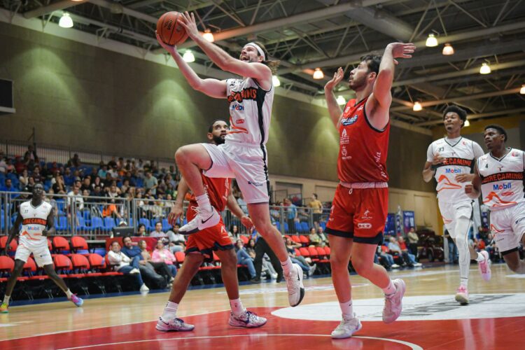 ¡Enrachados!, Correcaminos pega primero