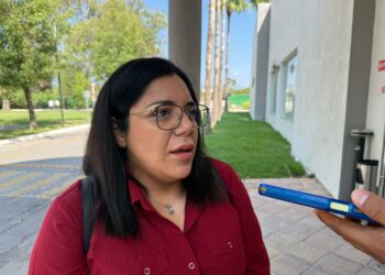 Claves de la Reforma Electoral: Morena Aclara Puntos sobre INE y Plurinominales