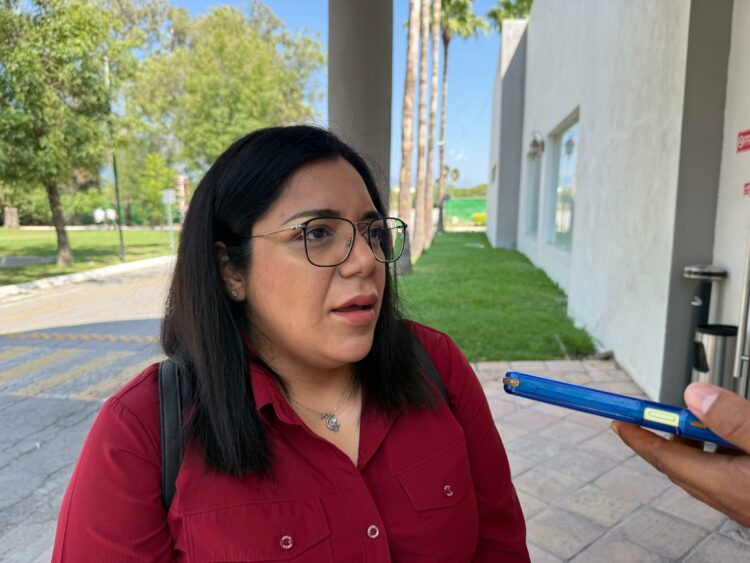 Claves de la Reforma Electoral: Morena Aclara Puntos sobre INE y Plurinominales