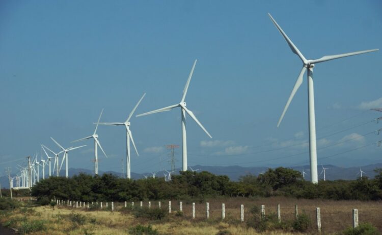 Municipios de Tamaulipas gastan hasta el 60% de su presupuesto en luz y gasolina, advierten.