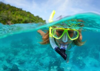 Disfruta del snorkel y los delfines en Isla Mujeres: una experiencia única en el Caribe mexicano