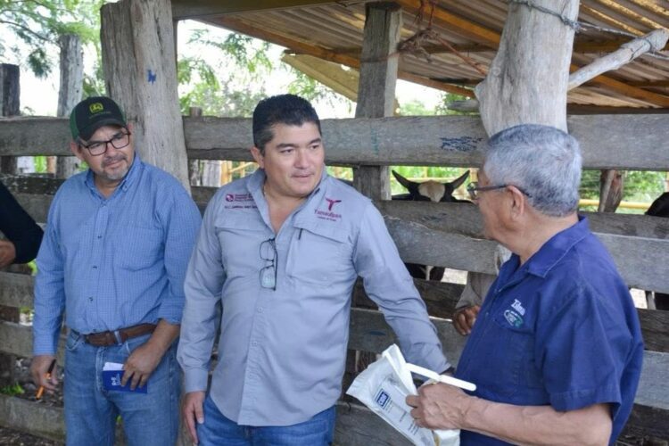 Registra Tamaulipas un 85% de avance en el barrido ganadero