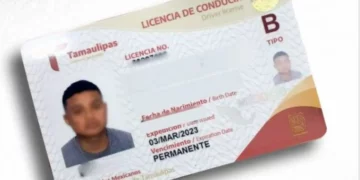 Licencia de manejo en Tamaulipas será digital