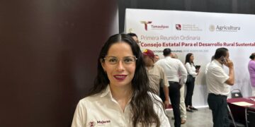 Denuncian el agotador costo de la violencia vicaria para las madres