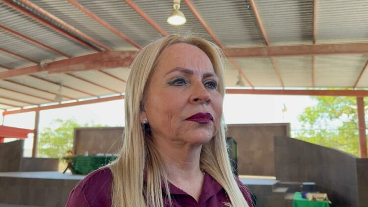 Educación Básica Reporta 95% de Cobertura Docente