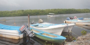 Piden a Pescadores de Tamaulipas Hacer Captura Sostenible de Camarón