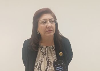 Ana Laura Huerta Valdovinos